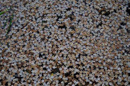 DSCF5592.JPG