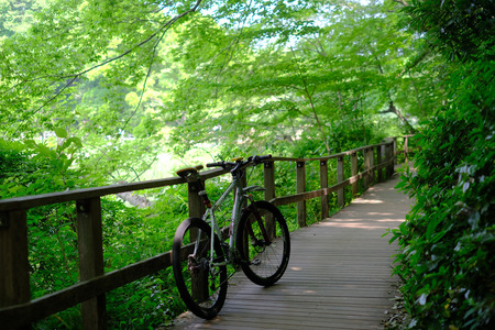 DSCF5611.JPG