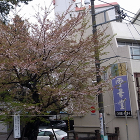R0012007.JPG