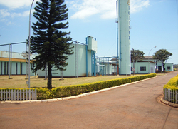 br0101.jpg
